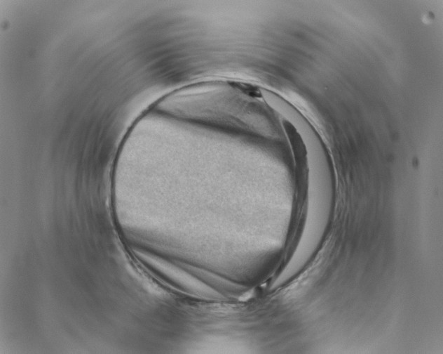 X0000088450862200706121437