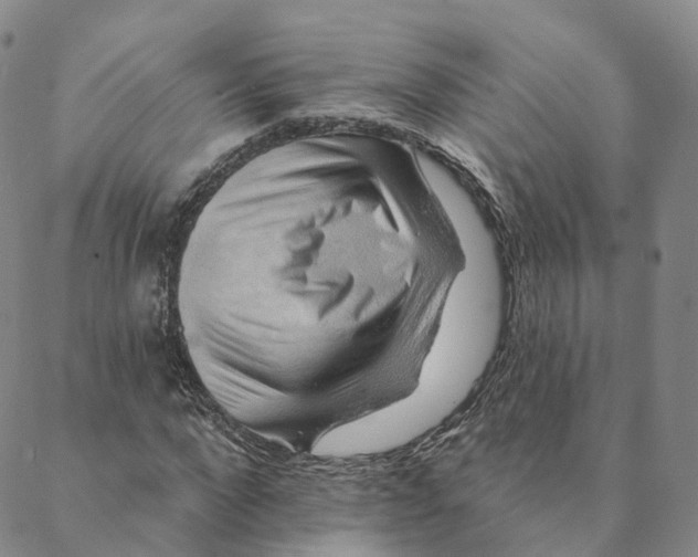 X0000088450872200706121436