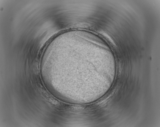 X0000088450878200706121436