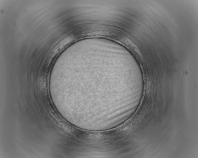 X0000088450882200706121436
