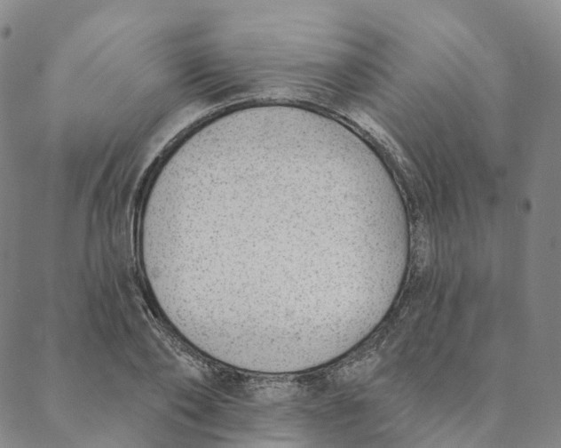 X0000088450886200706121436
