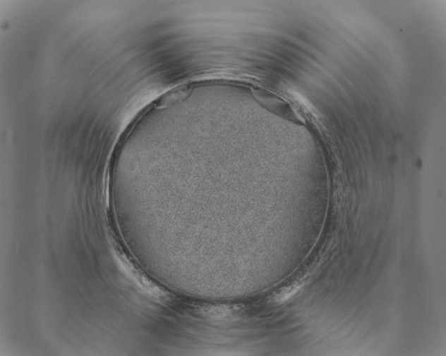 X0000088450892200706121436