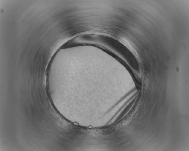 X0000088450900200706121436