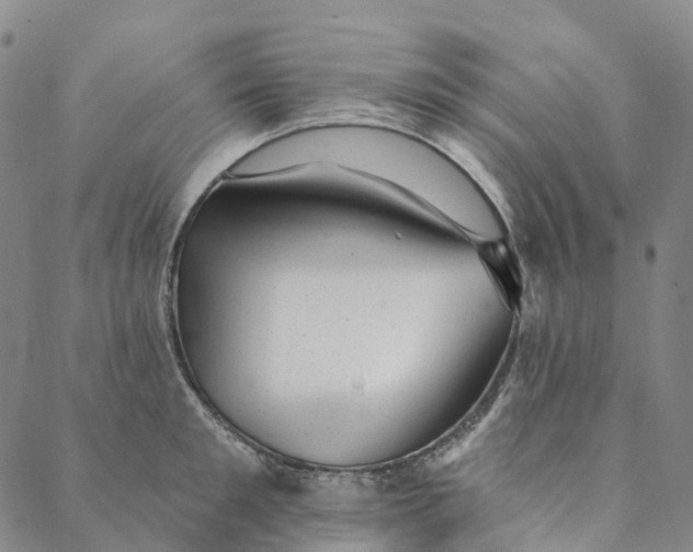 X0000088450901200706121436
