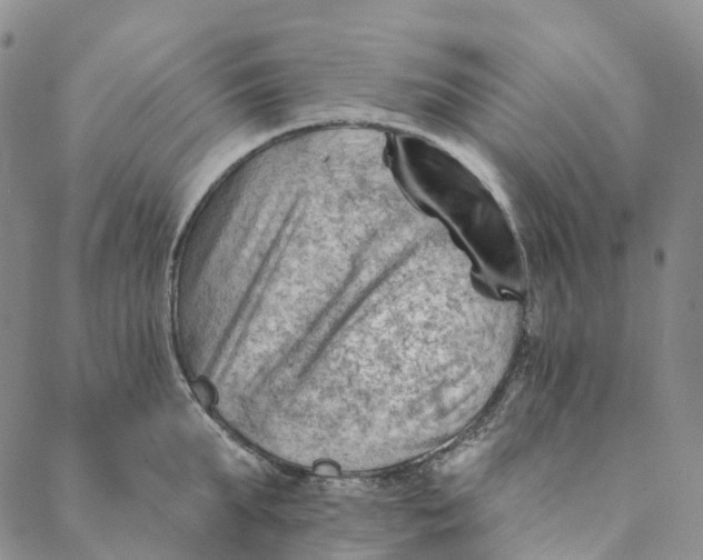 X0000088450903200706121436