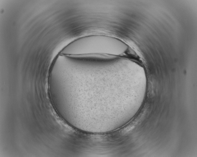 X0000088450904200706121436