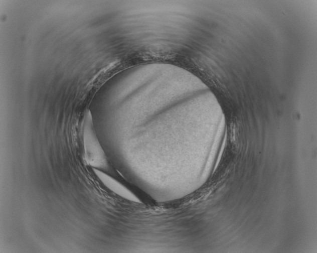X0000088450915200706121435
