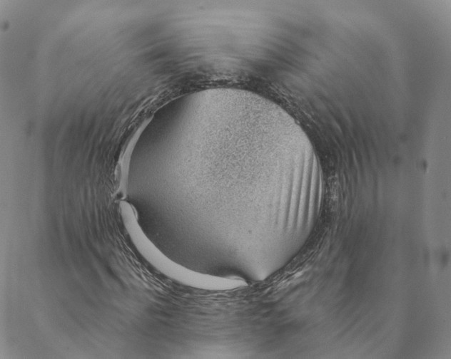 X0000088450916200706121435