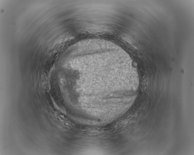 X0000088450917200706121435