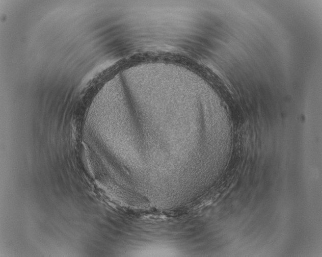 X0000088450919200706121435