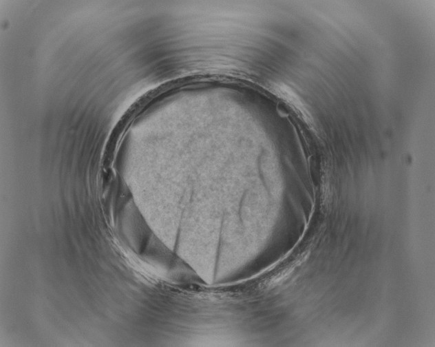 X0000088450924200706121435