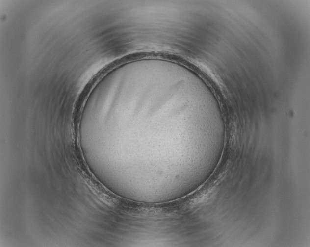 X0000088450927200706121435