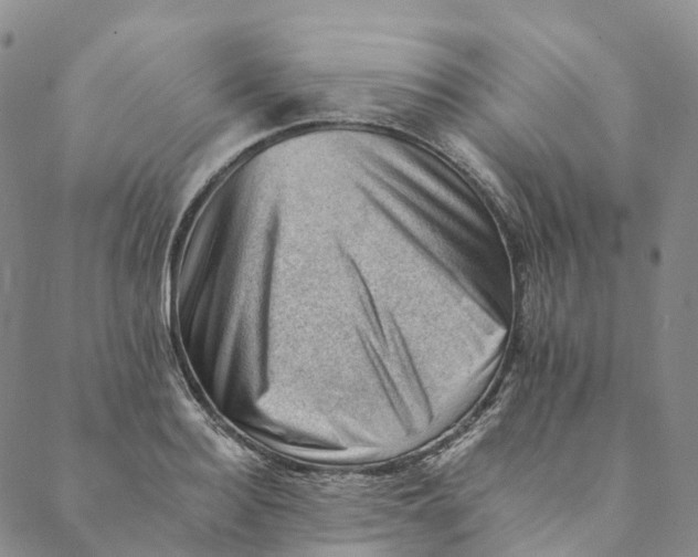 X0000088450940200706121435