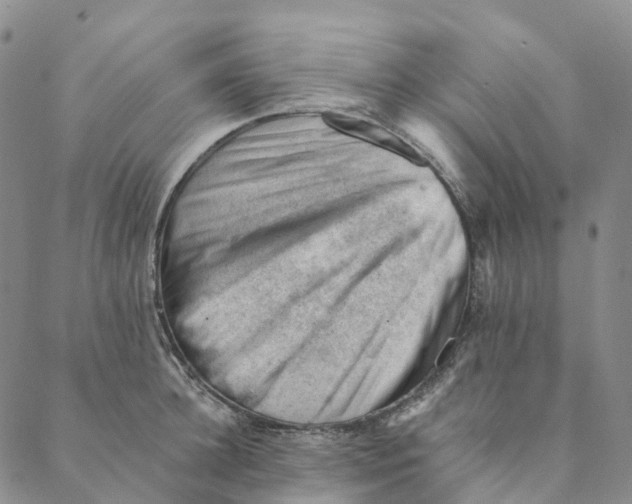 X0000088450948200706121435