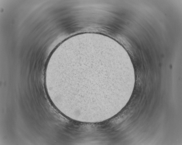 X0000088450950200706121435