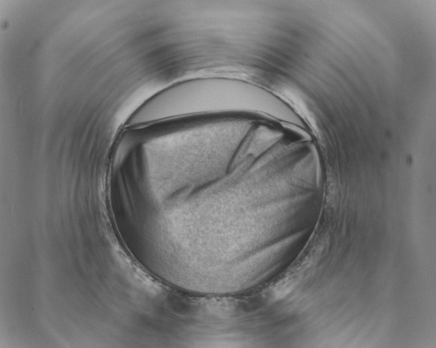 X0000088450952200706121436