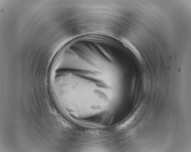 X0000088450956200706121436