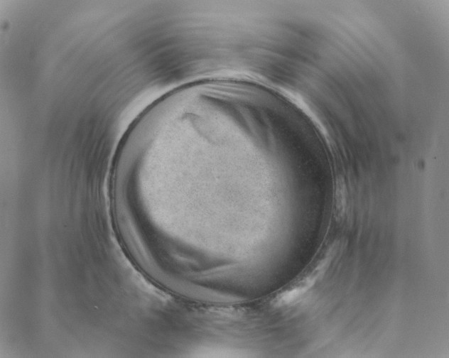 X0000088450959200706121436