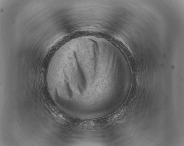 X0000088450968200706121435