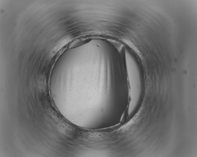 X0000088450969200706121435