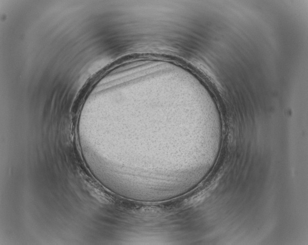 X0000088450974200706121435