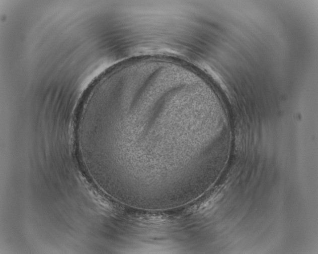 X0000088450975200706121435