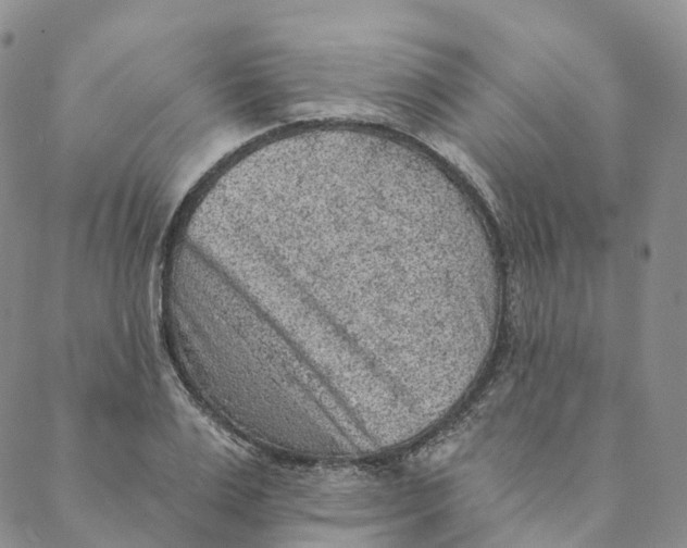X0000088450983200706121434