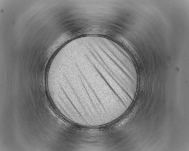 X0000088450986200706121434