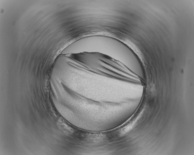 X0000088451001200706121434