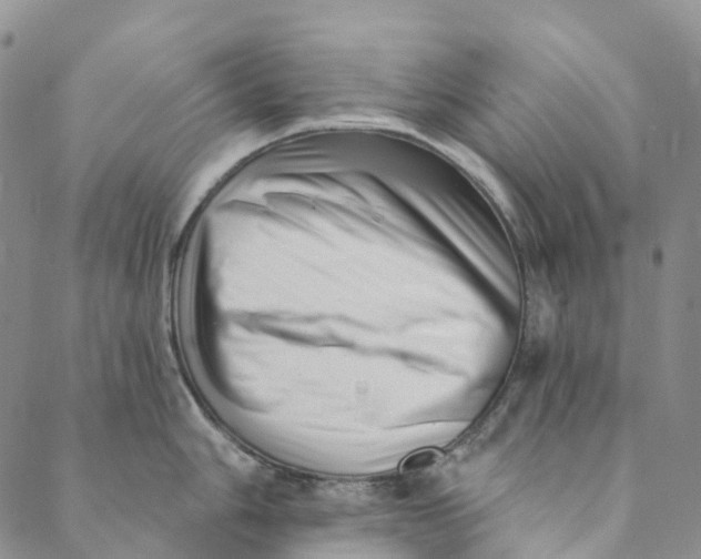 X0000088451006200706121434