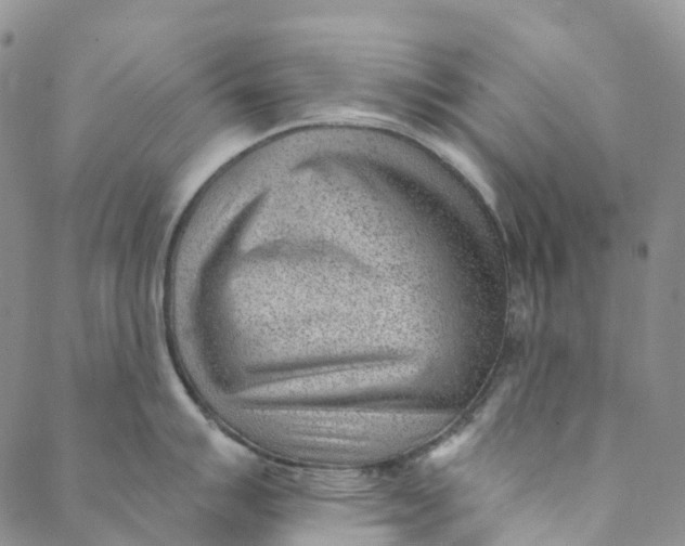 X0000088451007200706121434