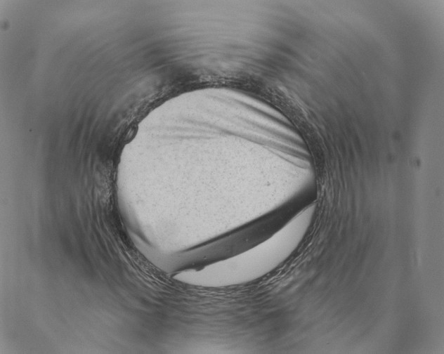 X0000088451012200706121433