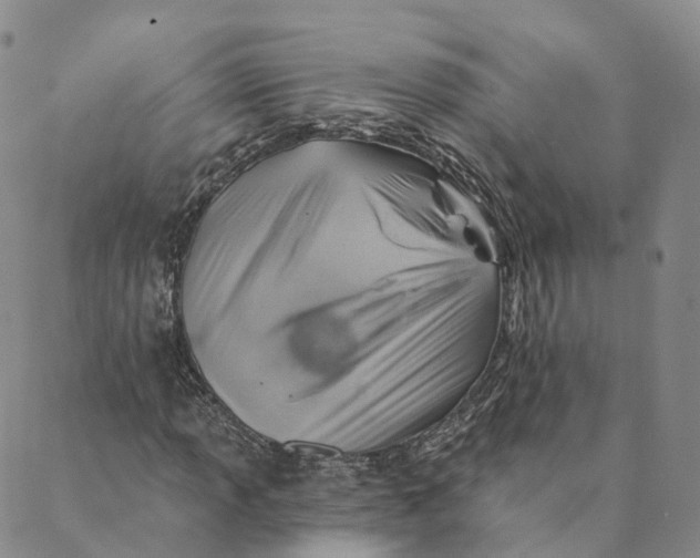 X0000088451013200706121433