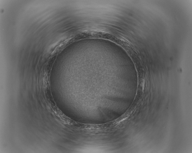 X0000088451014200706121433