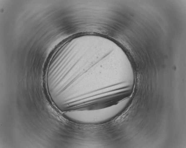 X0000088451020200706121433