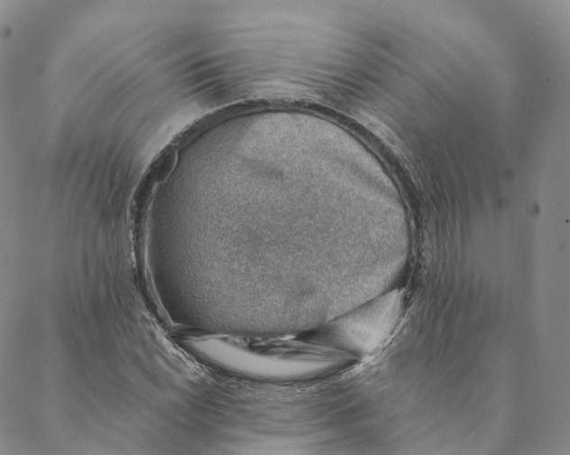 X0000088451022200706121434