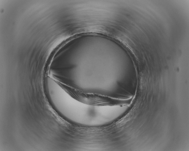 X0000088451024200706121434