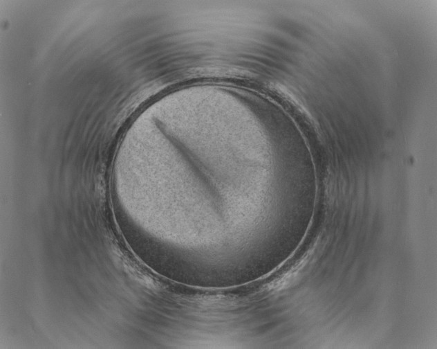 X0000088451025200706121434