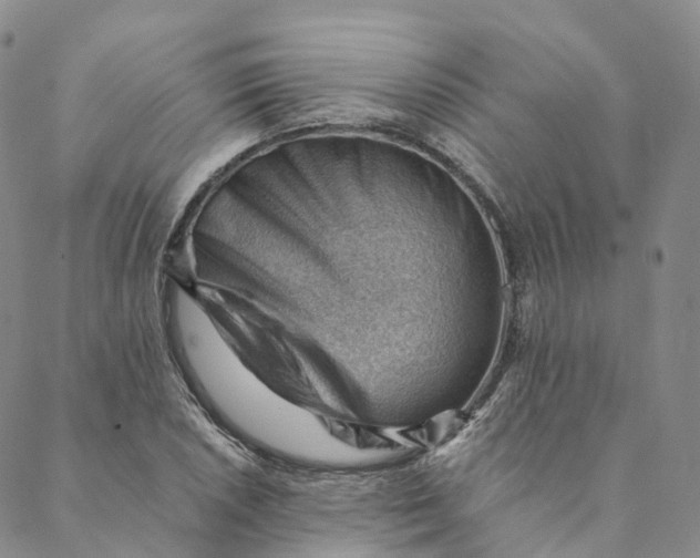 X0000088451026200706121434