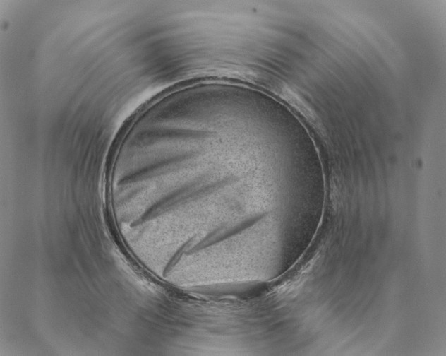 X0000088451028200706121434