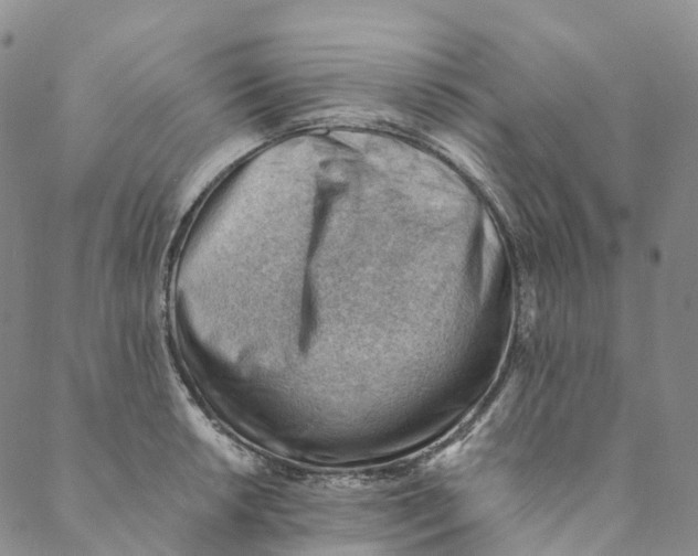 X0000088451042200706121434
