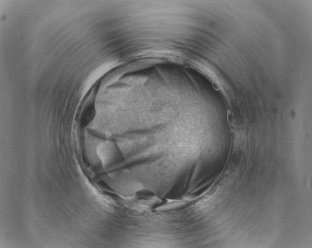 X0000088451050200706121434