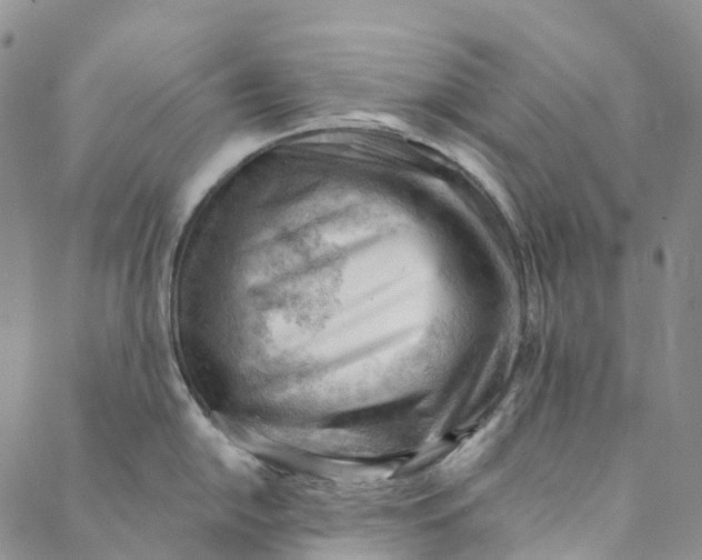 X0000088451054200706121434