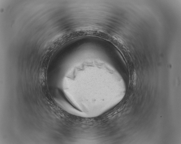 X0000088451062200706121433