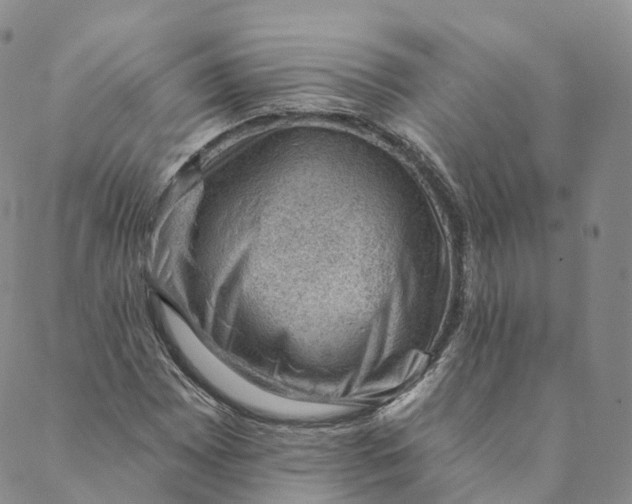 X0000088451065200706121433