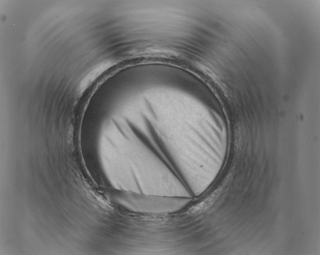 X0000088451066200706121433