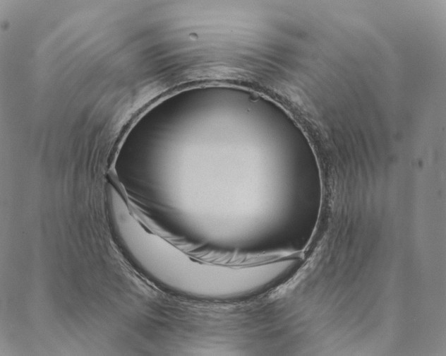 X0000088451073200706121433