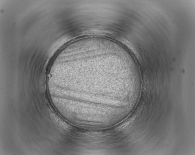 X0000088451075200706121433