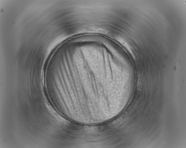 X0000088451080200706121433