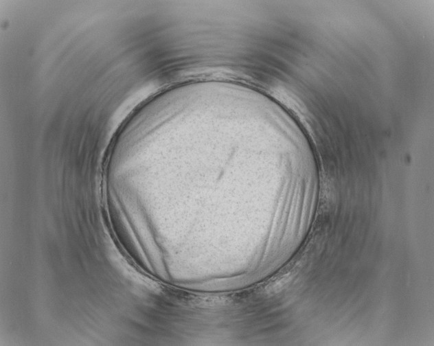 X0000088451090200706121433